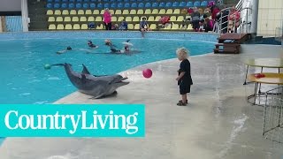 Adorable Toddler Plays Fetch With Playful Dolphin  Country Living [upl. by Balough]