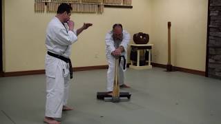 Uechi ryu Karate Tameshiwari [upl. by Eilarol]