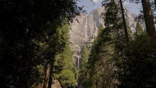 California 101 Yosemite National Park [upl. by Anirtal351]