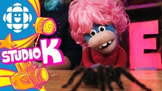 Studio K  Wigged Out Spider  CBC Kids [upl. by Ardnuhsed]