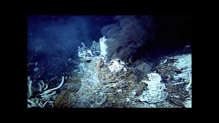 The Deepest Place On Earth Mariana Trench  Documentary [upl. by Alaine763]