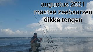 Zeevissen augustus 2021 maatse zeebaarzen dikke tongen [upl. by Kosak]