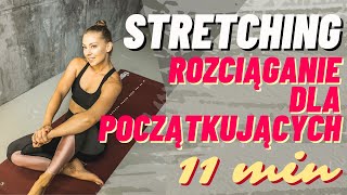 Stretching dla początkujących rozciąganie  Paula Piotrzkowska [upl. by Crosse174]