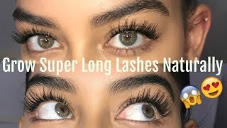 HOW TO GROW YOUR LASHES NATURALLY [upl. by Felisha]