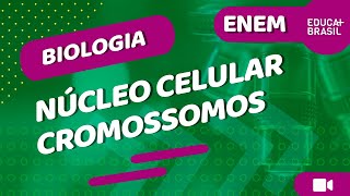 BIOLOGIA – Núcleo Celular – Cromossomos ENEM [upl. by Phillips]