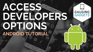 How To Enable And Disable Developers Options 2019  Android 8 Oreo and Pie [upl. by Meara]