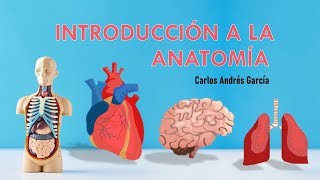 ¡INTRODUCCIÓN A LA ANATOMÍA HUMANA [upl. by Harvison]