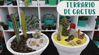 Cómo hacer un terrario con cactus│Candy Bu [upl. by Esinel356]