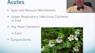 Euphrasia Tip Video [upl. by Lavoie948]