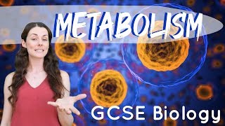 Metabolism  GCSE Biology [upl. by Duffy62]