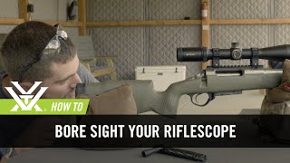 How To Bore Sight Your Rifle [upl. by Bird]