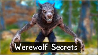 Skyrim 5 Things They Never Told You About Werewolves [upl. by Elocan]