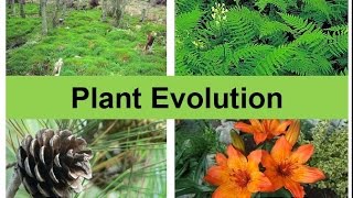 Plant Evolution updated [upl. by Boonie296]