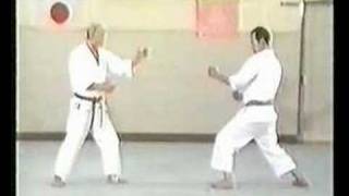 Wado Karate Techniques by Tatsuo Suzuki Sensei [upl. by Ikram931]