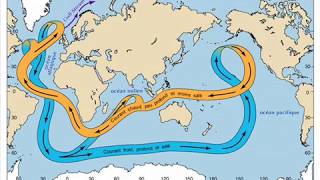 Les courants océaniques régulateurs du climat [upl. by Robby]