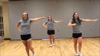 Wofford College Cheer Material DVD Part 1 [upl. by Brecher]