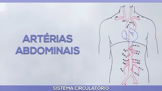 Artérias Abdominais [upl. by Thisbe835]