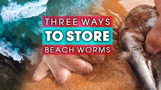 Three 3 Ways To Store Your BEACH WORMS [upl. by Renferd]