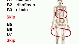 B Vitamins easiest way to remember them Mnemonics [upl. by Eenhpad531]