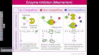 Enzyme inhibition [upl. by Epolulot]