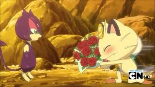 Meowth and Oshawott asking purrloin out [upl. by Joela]