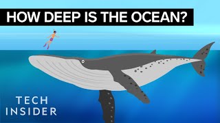 This Incredible Animation Shows How Deep The Ocean Really Is [upl. by Jazmin]