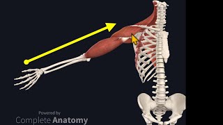 Treating Back Pain Caused by Arthritis [upl. by Perce]