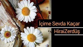 İçime sevda kaçar  HiraiZerdüş [upl. by Borchers246]