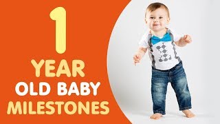 1 Year Old Baby Milestones [upl. by Eico753]