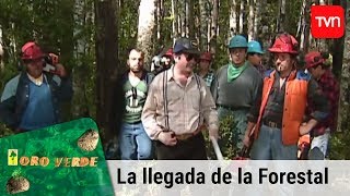 La llegada de la forestal  Oro verde  T1E1 [upl. by Shelli437]