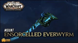 WoW Shadowlands  Ensorcelled Everwyrm Mount [upl. by Nepsa167]