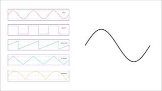 Basic Waveforms [upl. by Brina]