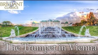 The Trumpet in Vienna [upl. by Chessy]