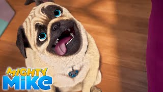 MIGHTY MIKE 🐶 ABOUT FACE 🐾  Cartoon Animation for Kids [upl. by Styles]