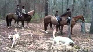 Belle Meade Hunt Tour [upl. by Suez]