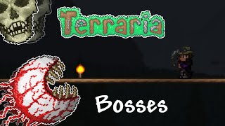 Terraria 14  The Guide to ALL Bosses [upl. by Farkas612]