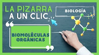 ¿Qué son las Biomoléculas Orgánicas  CPECH TE AYUDA [upl. by Palm]