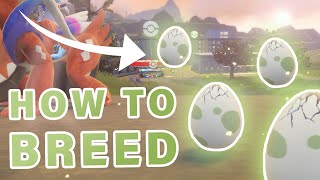 How to BREED Pokemon Eggs ► Pokemon Scarlet amp Violet [upl. by Hamid]