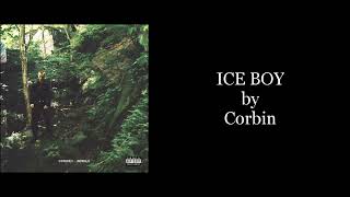 Corbin  ICE BOY Karaoke Instrumental [upl. by Eeloj]