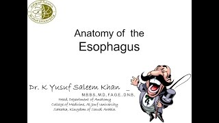 Anatomy of the Esophagus  Dr Yusuf [upl. by Innavoeg]