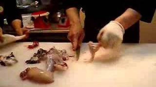 Food Cutting of Blowfish Fugu in Japan [upl. by Aroda]