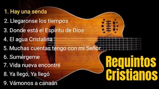 25 minutos de REQUINTOS CRISTIANOS En Guitarra 🎸🎵 [upl. by Aynav]