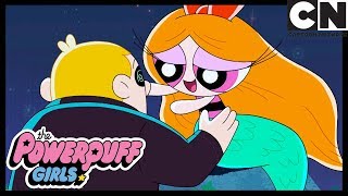 Powerpuff Girls  Morbucks And Blossom Fighting Over A BOY  Cartoon Network [upl. by Lah48]