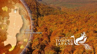 The Four Seasons TOHOKU JAPAN [upl. by Eeclehc]