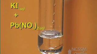 Double Displacement Lead Nitrate and Potassium Iodide [upl. by Appledorf208]