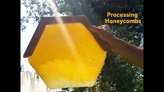 Processing Your Harvested Honey [upl. by Kwan987]