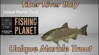 Unique Marble Trout  Tiber River Italy  Fishing Planet Guide [upl. by Enytsirhc]