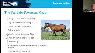 Webinar Feeding Broodmares [upl. by Arrais]