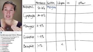 Hypersegmented Neutrophils  Anemia [upl. by Charie]