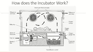 The ICU Baby Incubator [upl. by Rexfourd705]